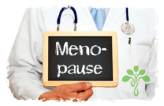 Rund um die Menopause Beschwerden behandeln, Potsdam - Menopause Tafel - Heilpraktikerin Dr. phil. Daniella Seidl